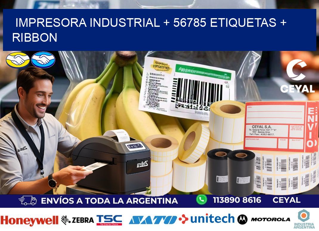 impresora industrial + 56785 etiquetas + ribbon