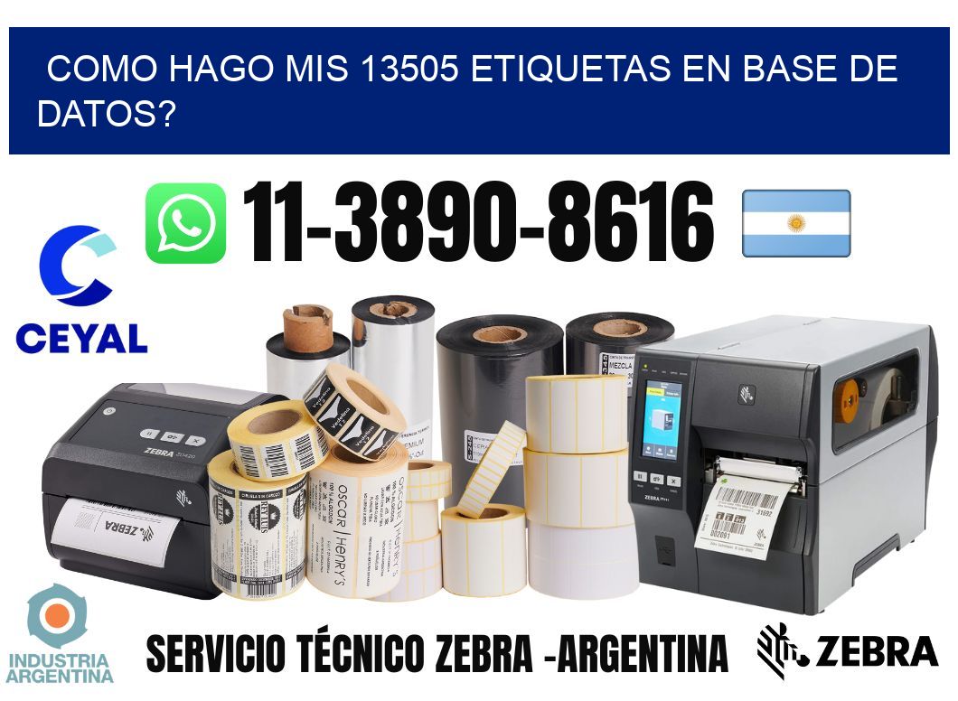 como hago mis 13505 etiquetas en base de datos?