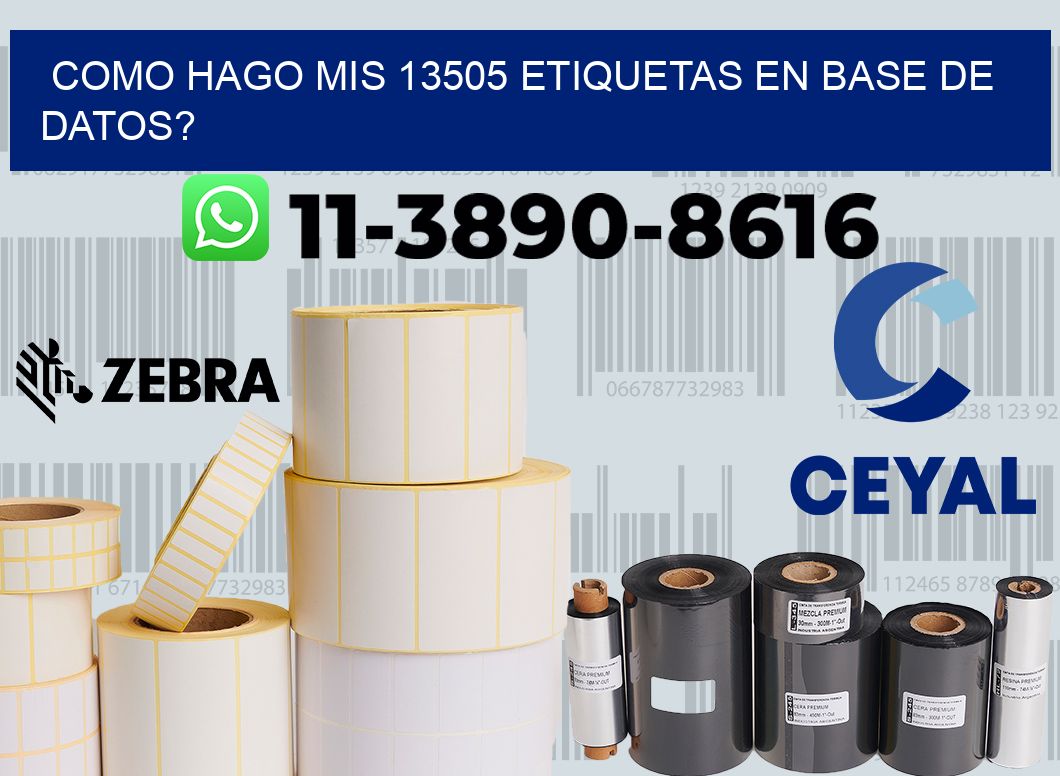 como hago mis 13505 etiquetas en base de datos?
