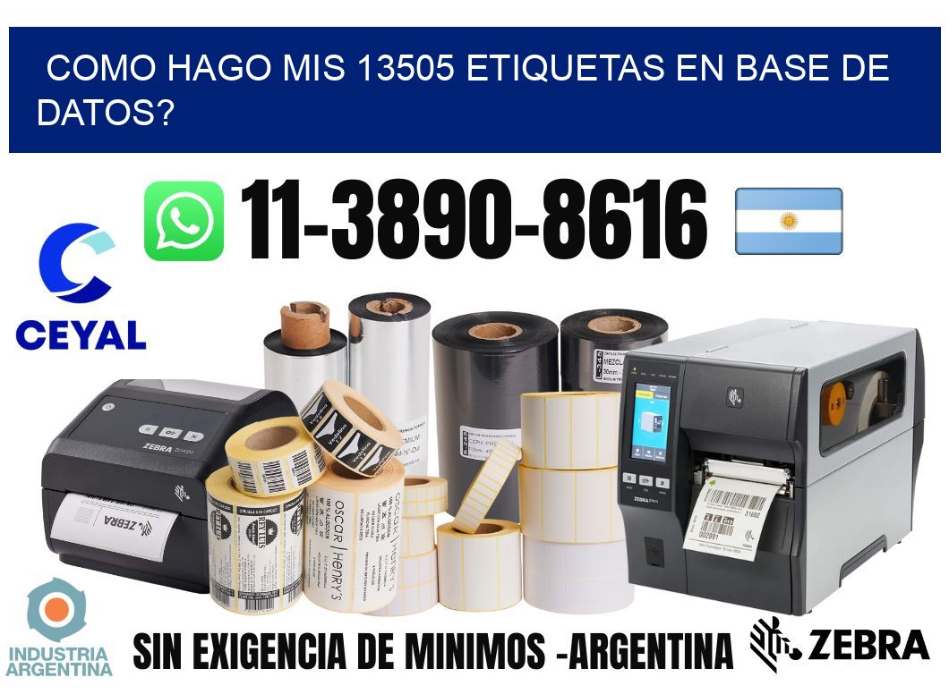 como hago mis 13505 etiquetas en base de datos?