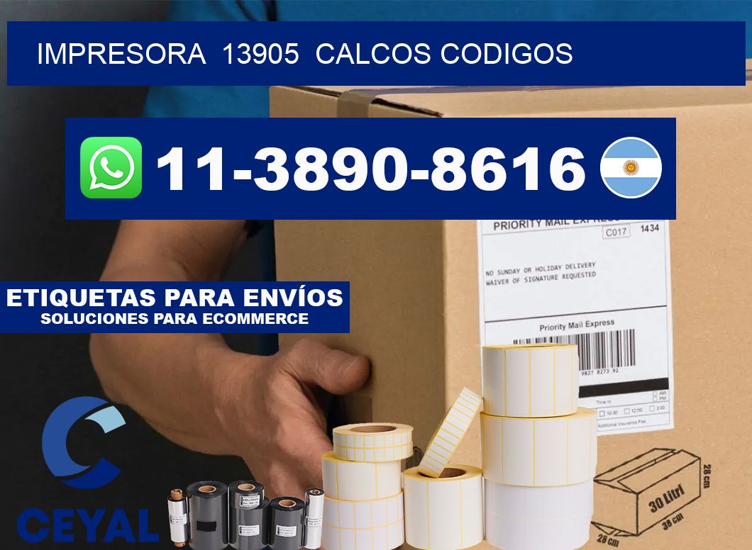 impresora  13905  calcos codigos