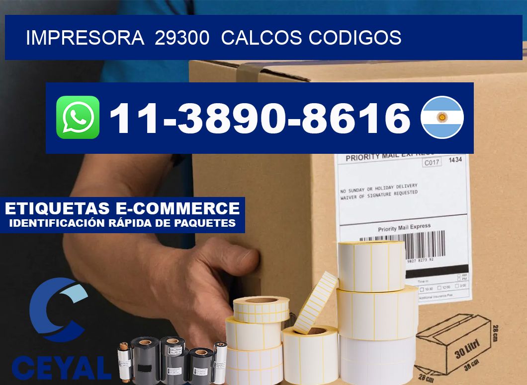 impresora 29300 calcos codigos