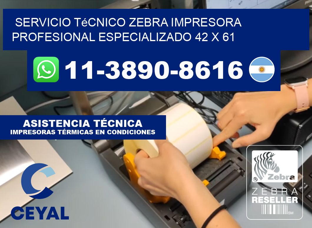 Servicio Técnico Zebra Impresora Profesional Especializado 42 x 61