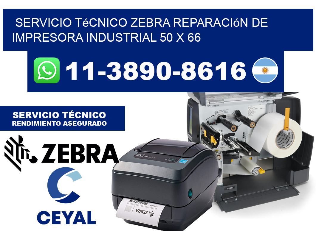 Servicio Técnico Zebra Reparación de Impresora Industrial 50 x 66