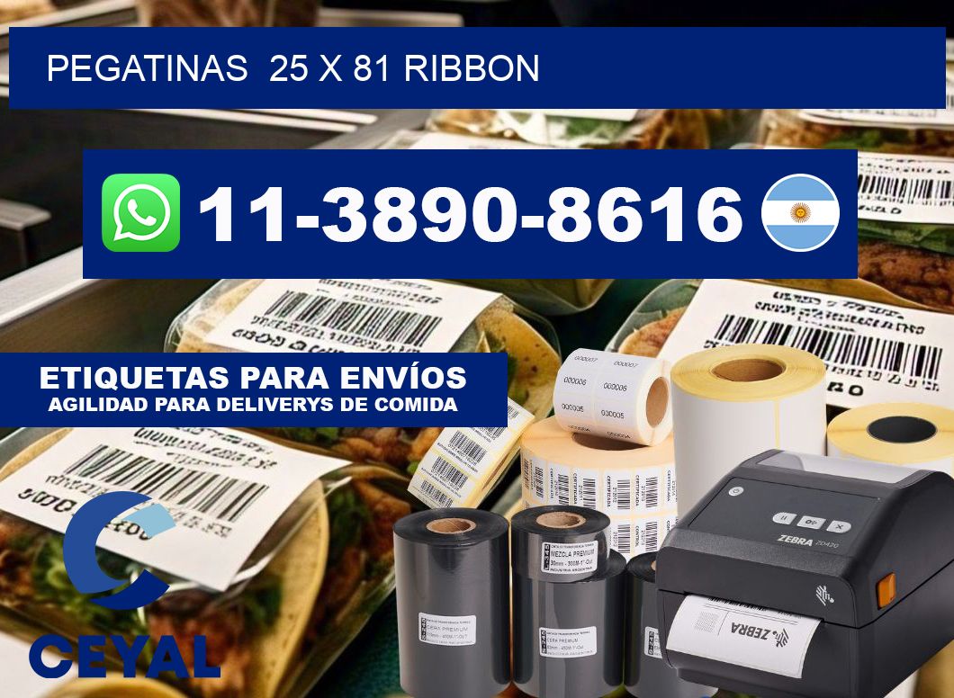 pegatinas  25 x 81 ribbon