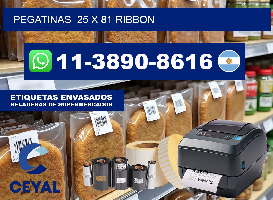 pegatinas  25 x 81 ribbon