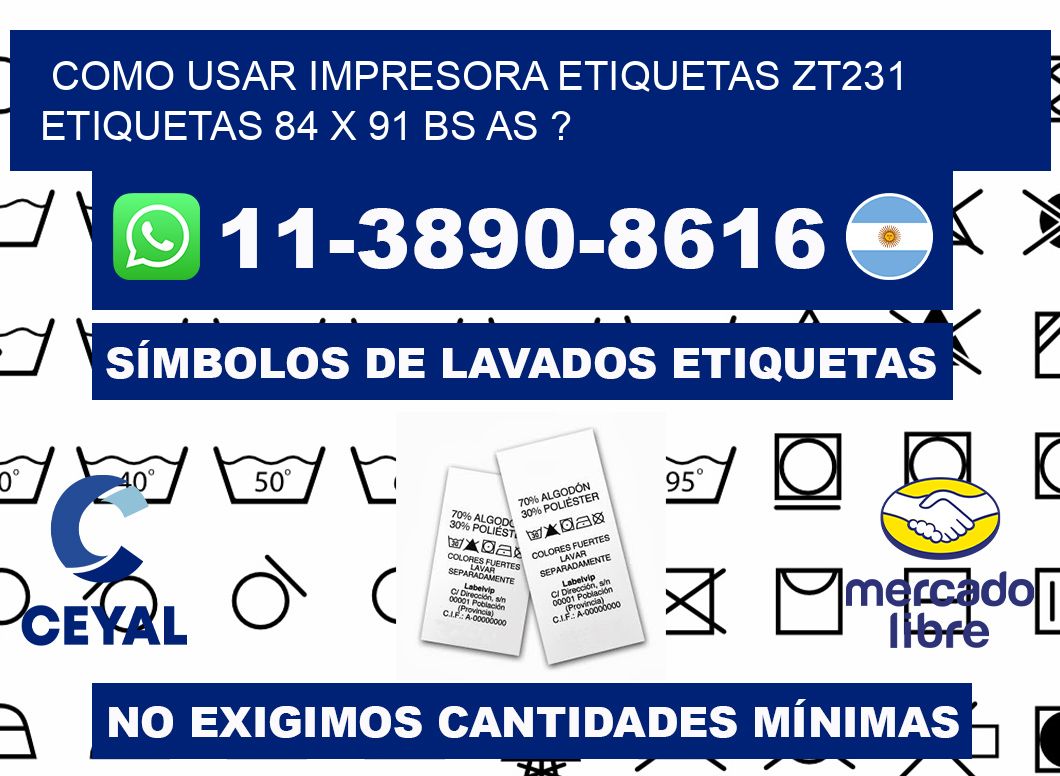 como usar impresora etiquetas zt231 etiquetas 84 x 91 BS AS ?