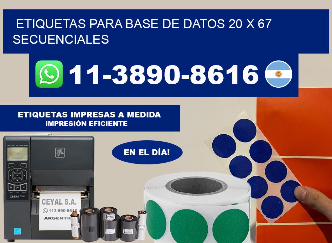 etiquetas para base de datos 20 x 67 secuenciales