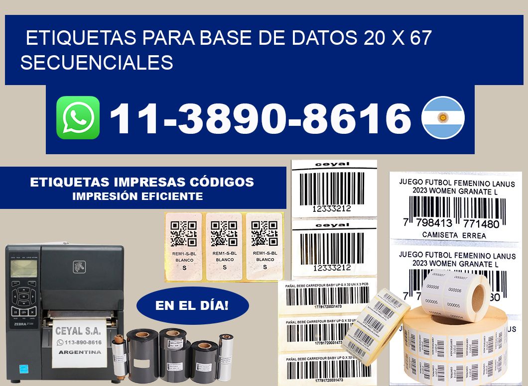 etiquetas para base de datos 20 x 67 secuenciales