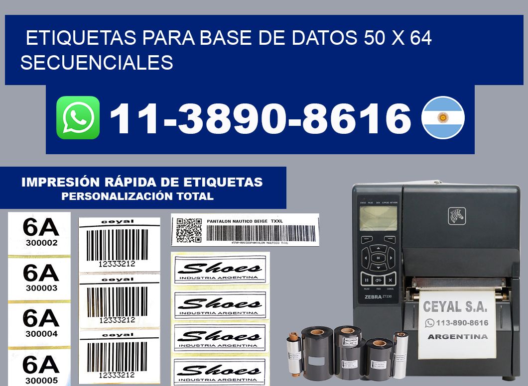 etiquetas para base de datos 50 x 64 secuenciales