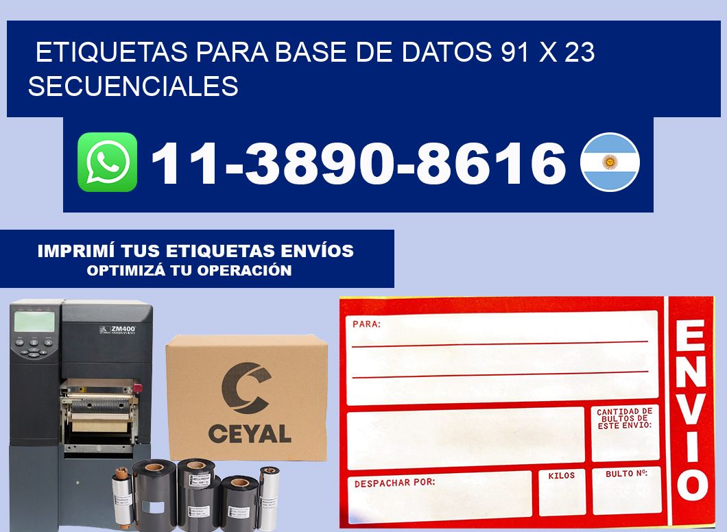 etiquetas para base de datos 91 x 23 secuenciales
