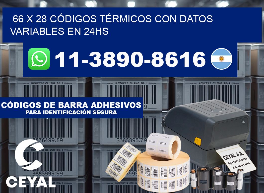 66 x 28 CÓDIGOS TÉRMICOS CON DATOS VARIABLES EN 24HS