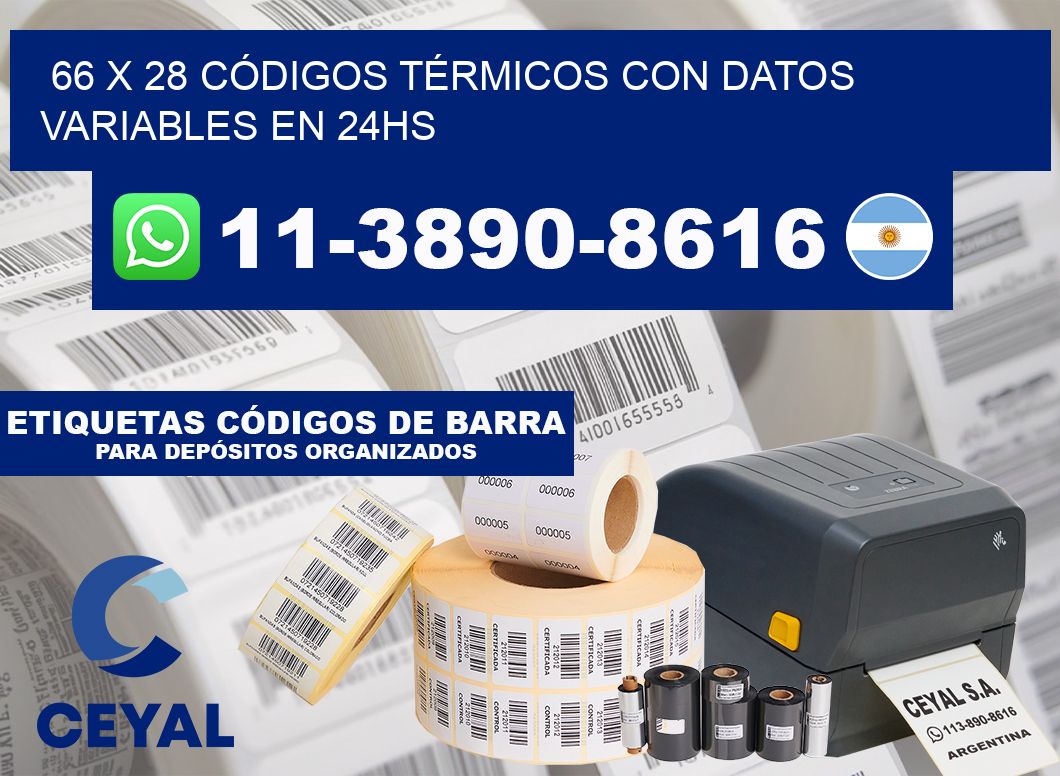 66 x 28 CÓDIGOS TÉRMICOS CON DATOS VARIABLES EN 24HS