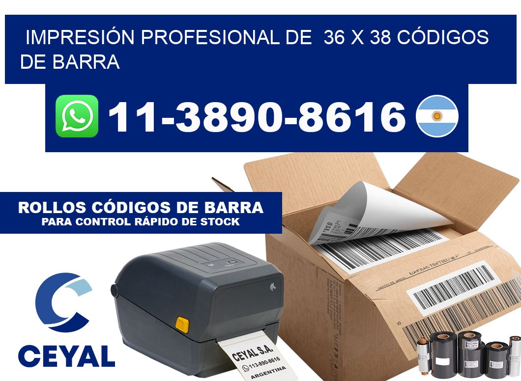 IMPRESIÓN PROFESIONAL DE  36 x 38 CÓDIGOS DE BARRA