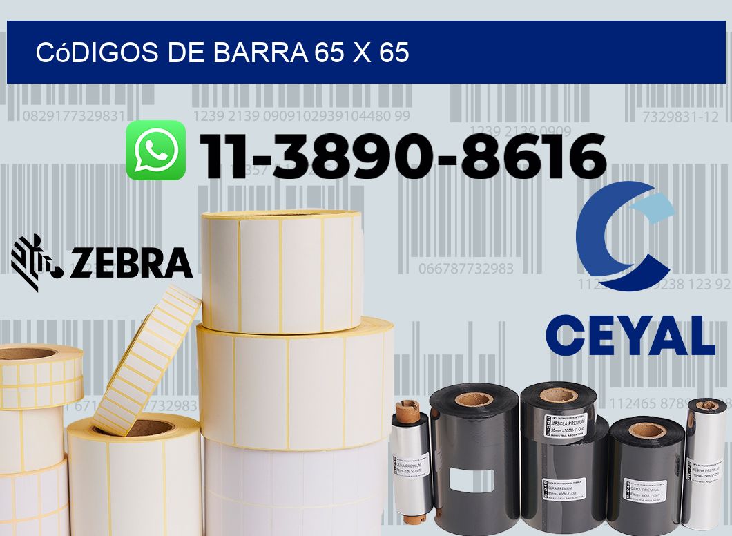códigos de barra 65 x 65
