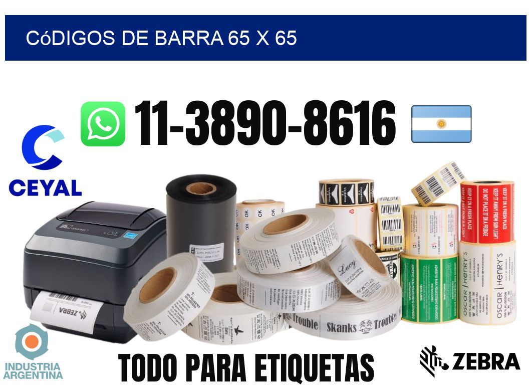 códigos de barra 65 x 65