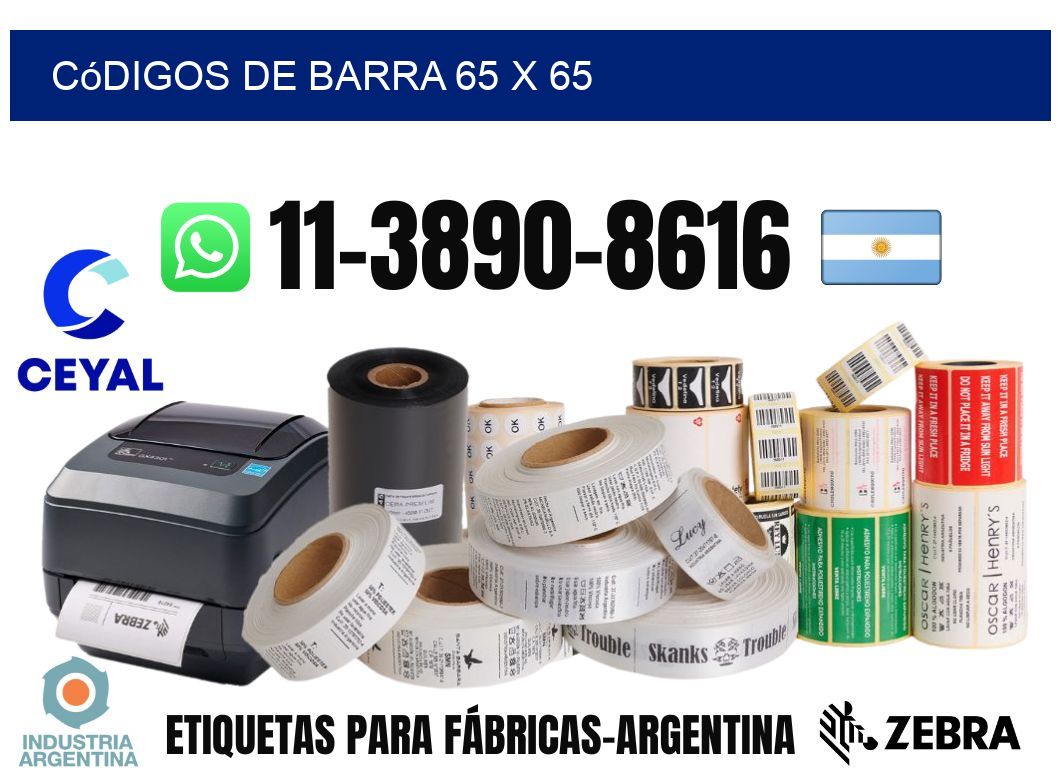 códigos de barra 65 x 65