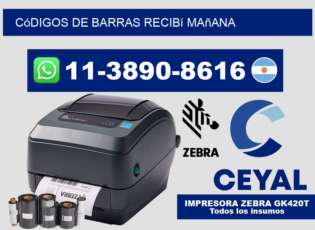códigos de barras recibí mañana