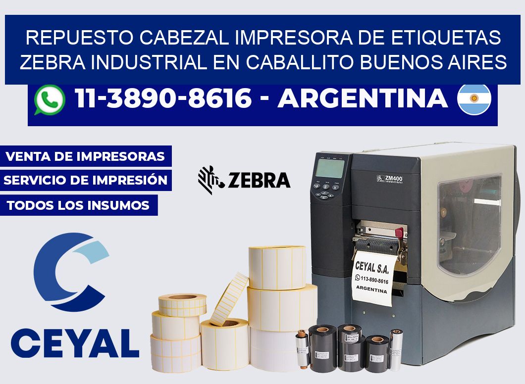 repuesto cabezal Impresora de etiquetas zebra industrial en Caballito Buenos Aires