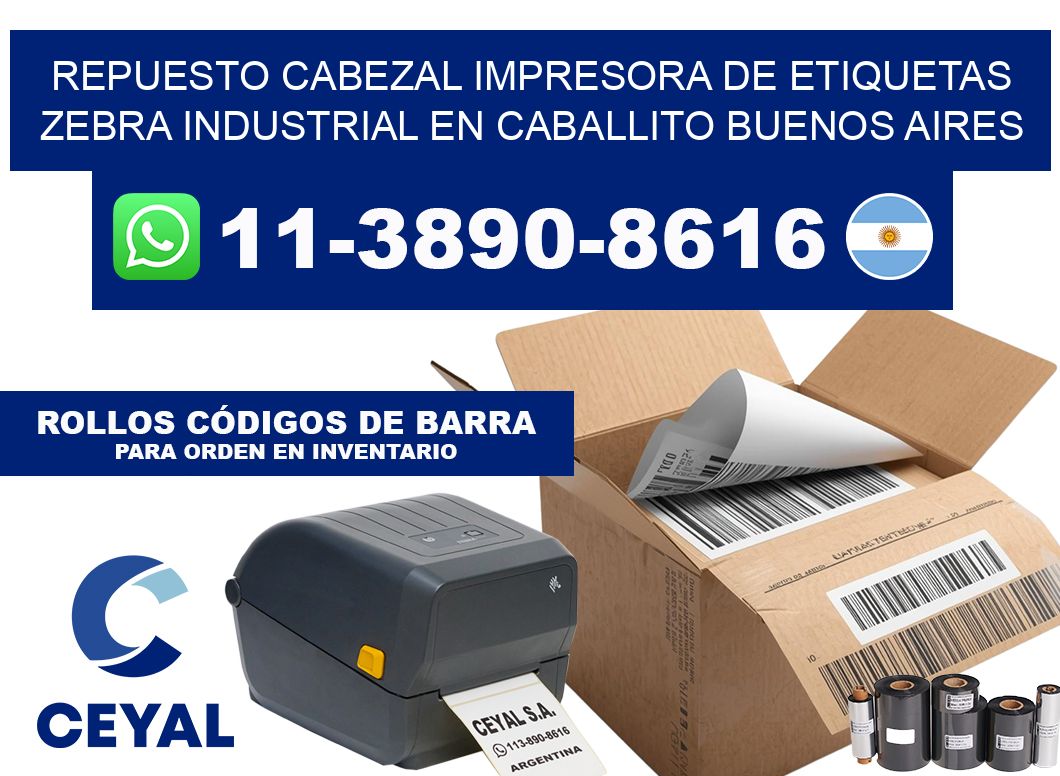 repuesto cabezal Impresora de etiquetas zebra industrial en Caballito Buenos Aires