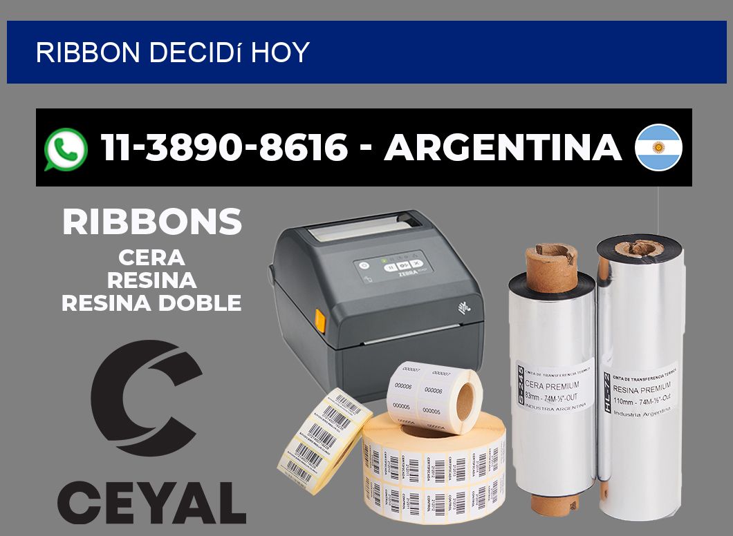 ribbon Decidí hoy